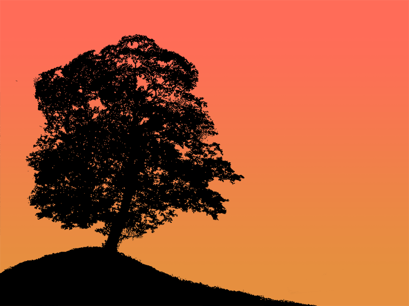 Cover art for Those Days, showing the silhouette of a tree against a sunset backdrop.